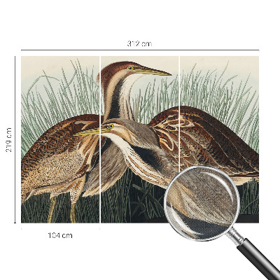 Fotobehang zelfklevend Realistische vogels