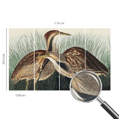 Fotobehang zelfklevend Realistische vogels
