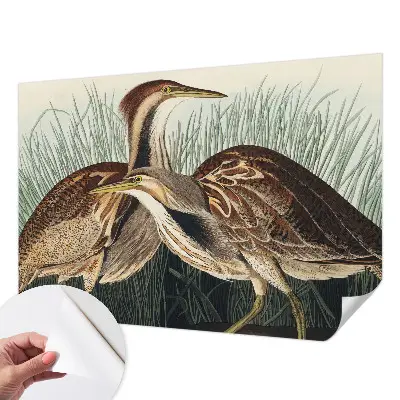 Fotobehang zelfklevend met realistische vogels als print