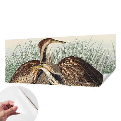 Fotobehang zelfklevend Realistische vogels