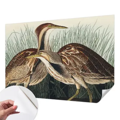 Fotobehang zelfklevend met realistische vogels als print