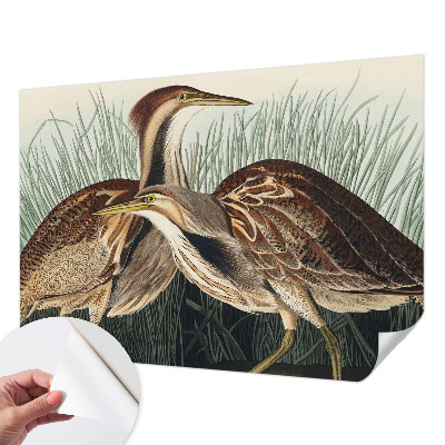 Fotobehang zelfklevend Realistische vogels