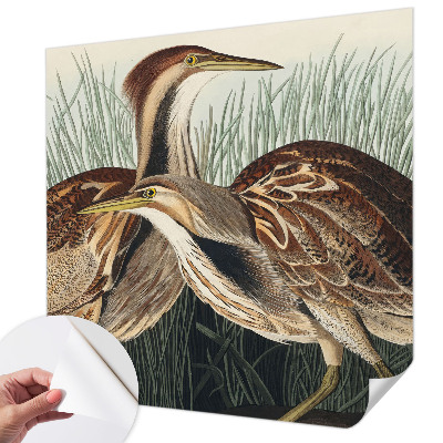 Fotobehang zelfklevend Realistische vogels