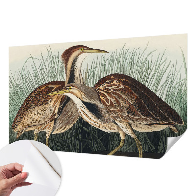 Fotobehang zelfklevend Realistische vogels