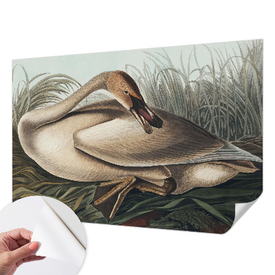 Zelfklevend fotobehang op maat met een natuurlijke vogelprint