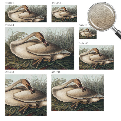 Zelfklevend fotobehang op maat Natuurlijke vogel