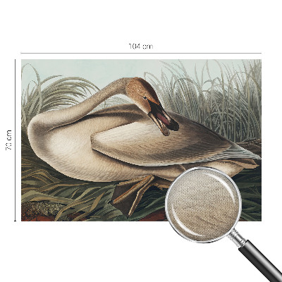 Zelfklevend fotobehang op maat met een natuurlijke vogelprint