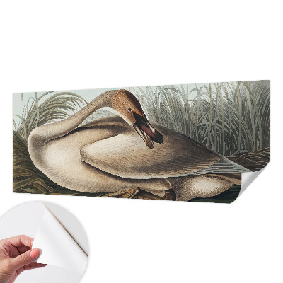 Zelfklevend fotobehang op maat met een natuurlijke vogelprint