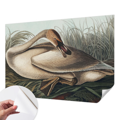 Zelfklevend fotobehang op maat met een natuurlijke vogelprint