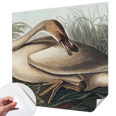 Zelfklevend fotobehang op maat met een natuurlijke vogelprint