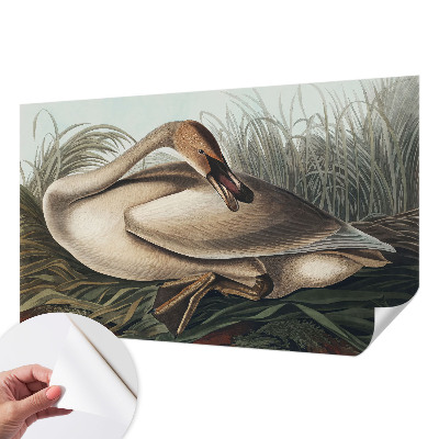 Zelfklevend fotobehang op maat met een natuurlijke vogelprint