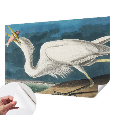 Foto behang voor de keuken met een vogel die een vis vasthoudt