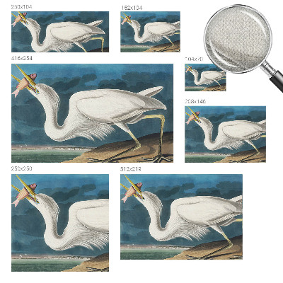 Foto behang voor de keuken Vogel met vis