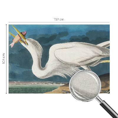 Foto behang voor de keuken met een vogel die een vis vasthoudt