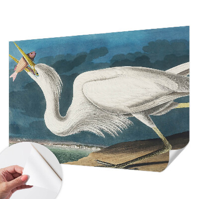 Foto behang voor de keuken met een vogel die een vis vasthoudt