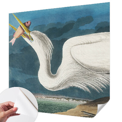 Foto behang voor de keuken met een vogel die een vis vasthoudt