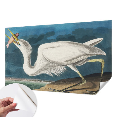 Foto behang voor de keuken met een vogel die een vis vasthoudt