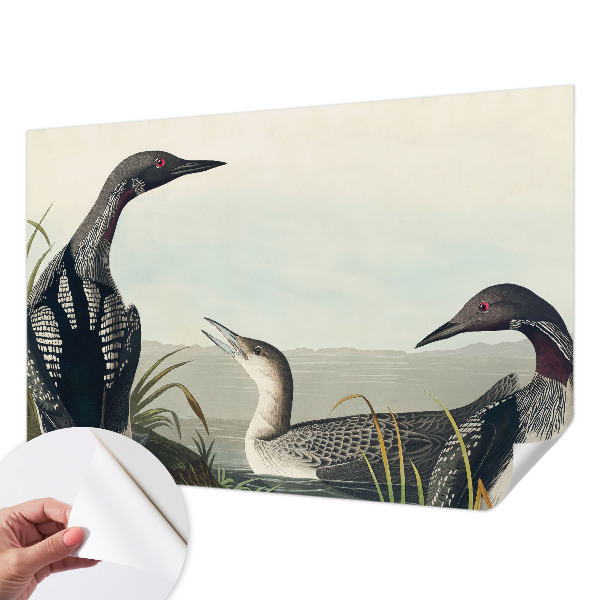 3D fotobehang Vogels boven het water