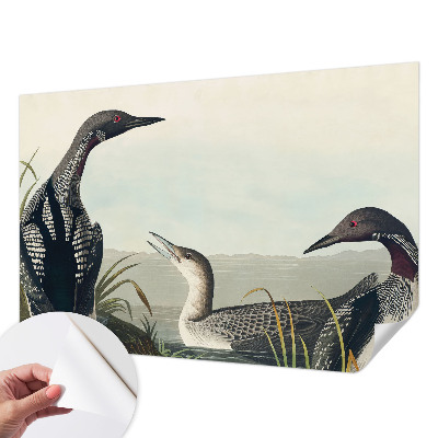 3D fotobehang Vogels boven het water