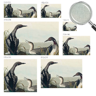 3D fotobehang met vogels boven het water als ontwerp
