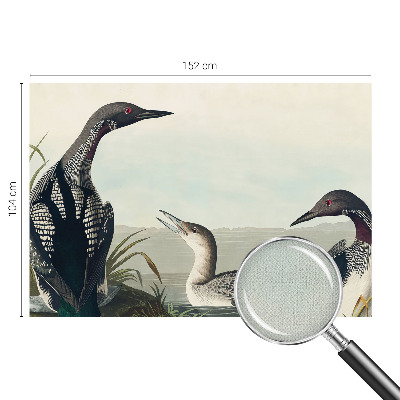 3D fotobehang met vogels boven het water als ontwerp