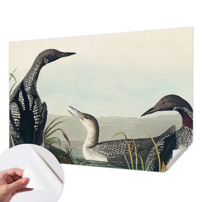 3D fotobehang met vogels boven het water als ontwerp