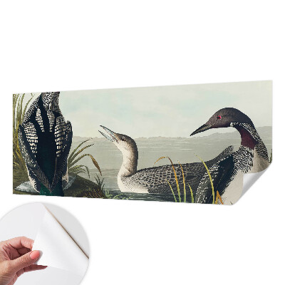 3D fotobehang met vogels boven het water als ontwerp