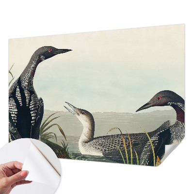 3D fotobehang Vogels boven het water