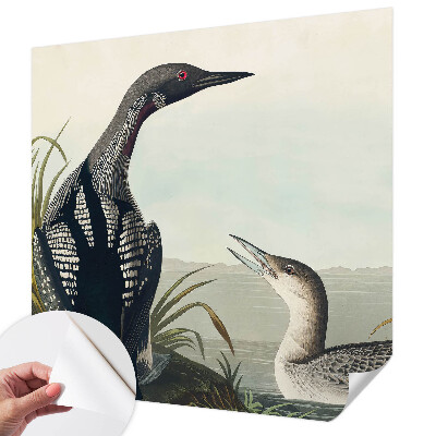 3D fotobehang Vogels boven het water
