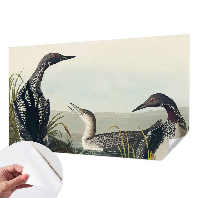 3D fotobehang met vogels boven het water als ontwerp