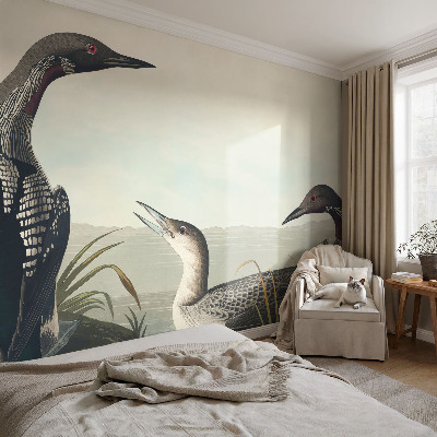 3D fotobehang Vogels boven het water