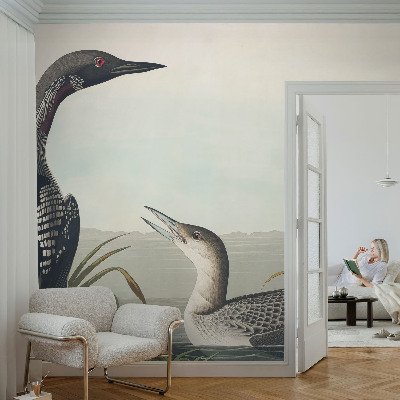 3D fotobehang Vogels boven het water