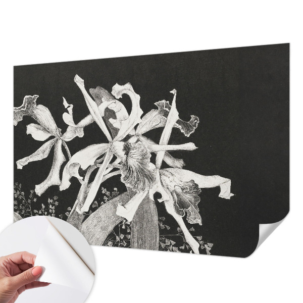 Foto behang voor de kinderkamer met een illustratie van een orchidee