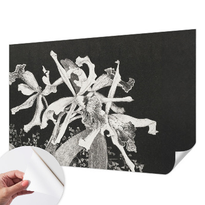 Foto behang voor de kinderkamer met een illustratie van een orchidee