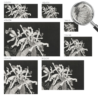 Foto behang voor de kinderkamer Orchidee illustratie