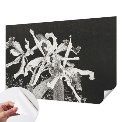 Foto behang voor de kinderkamer met een illustratie van een orchidee