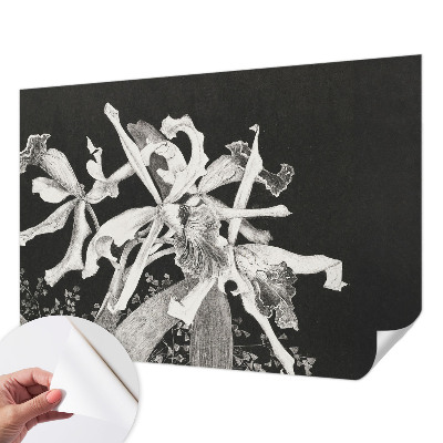 Foto behang voor de kinderkamer met een illustratie van een orchidee