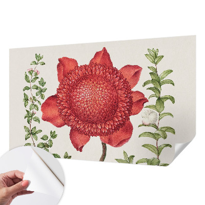 Zelfklevend fotobehang op maat met bloemig elegant patroon