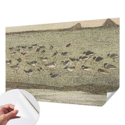 Zelfklevende behangsticker met een ontwerp van vredesvogels