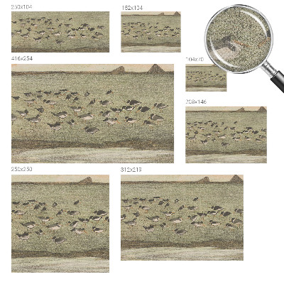 Zelfklevende behangsticker Vogels vrede