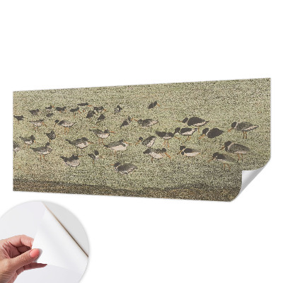 Zelfklevende behangsticker Vogels vrede