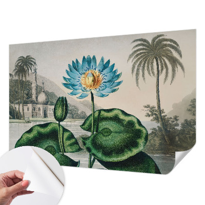 Fotobehang voor de kinderkamer met een exotisch landschap