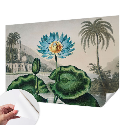 Fotobehang voor de kinderkamer met een exotisch landschap