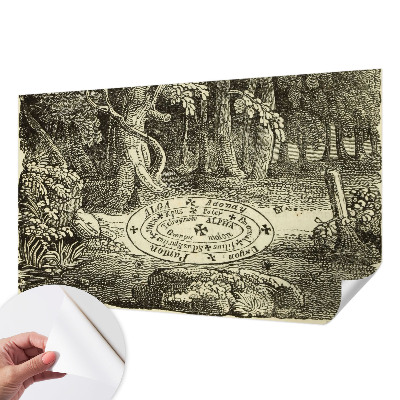 Foto behang voor de keuken met een ontwerp van een magische cirkel