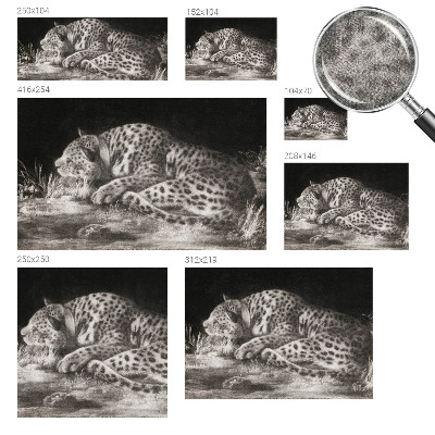 Foto behang voor de keuken Luipaard rustend