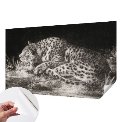 Foto behang voor de keuken met een rustende luipaardprint