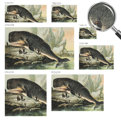 Zelfklevende behangsticker met het motief 'Zeegigantisme'