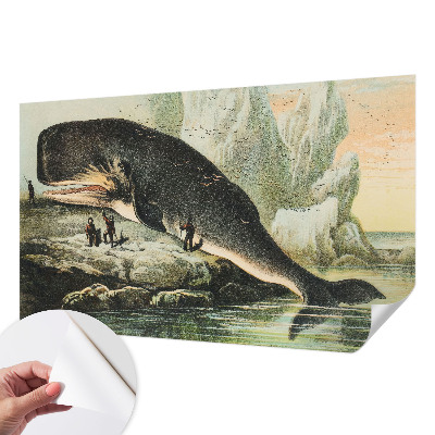 Zelfklevende behangsticker met het motief 'Zeegigantisme'