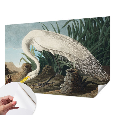 Fotobehang voor de kinderkamer met een majestueuze reiger als motief
