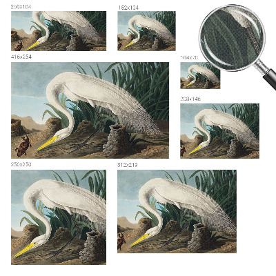 Fotobehang voor de kinderkamer met een majestueuze reiger als motief